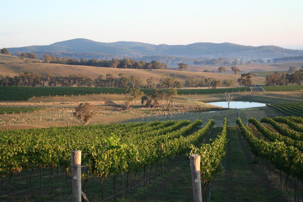 Mayfield Vineyard Orange Buitenkant foto