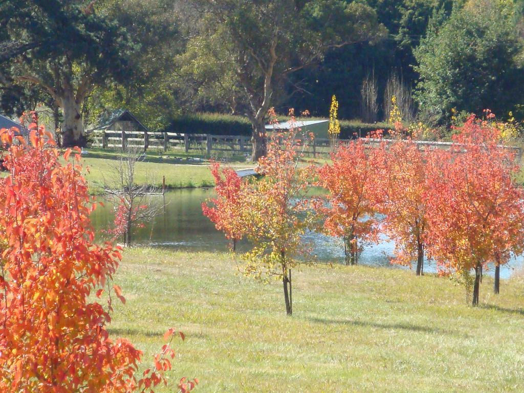 Mayfield Vineyard Orange Buitenkant foto