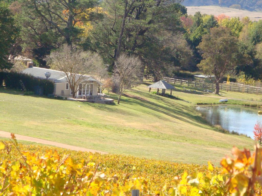 Mayfield Vineyard Orange Buitenkant foto