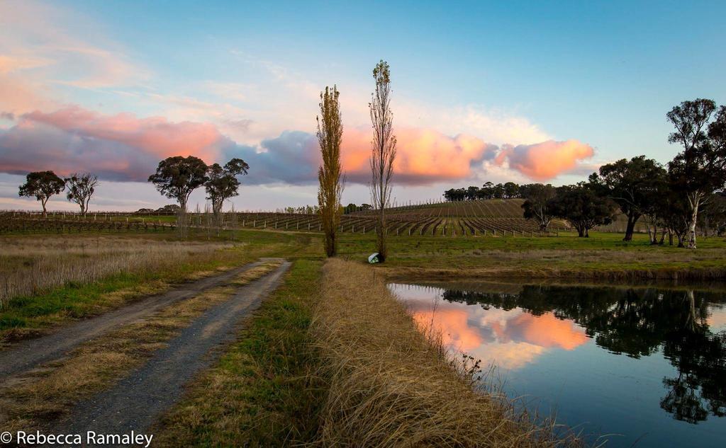Mayfield Vineyard Orange Buitenkant foto